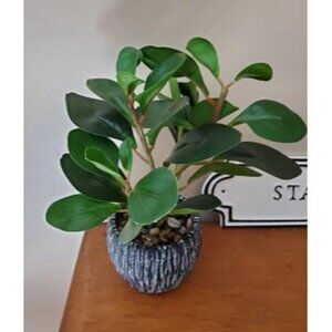 New Artificial Plants Real Looking and Touching Fake Plant Evergreen Plastic
